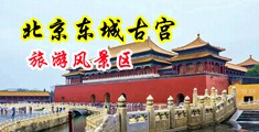 大鸡巴插我骚逼视频中国北京-东城古宫旅游风景区